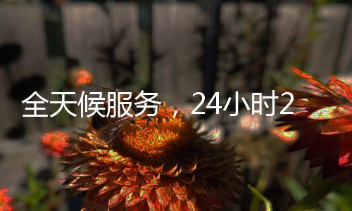 全天候服务，24小时28加拿大pc预测准确率100%网站联系方式回，轻松变现！