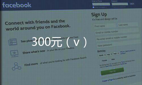 300元(v)